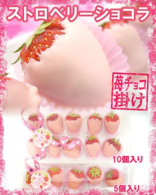 ストロベリーショコラ2015☆苺チョコレートフォンデュ
